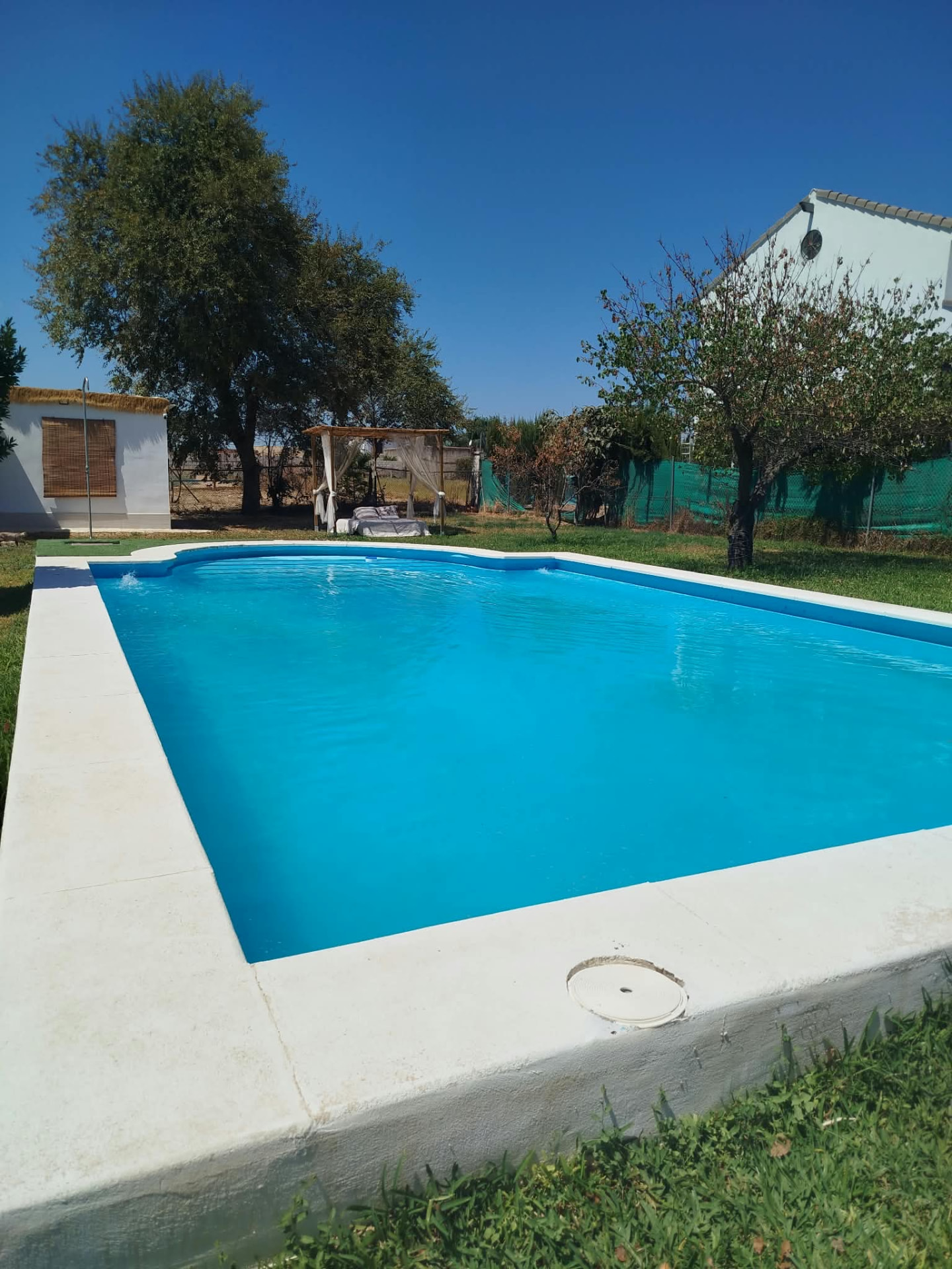 Piscina privada rodeada de césped y árboles frutales